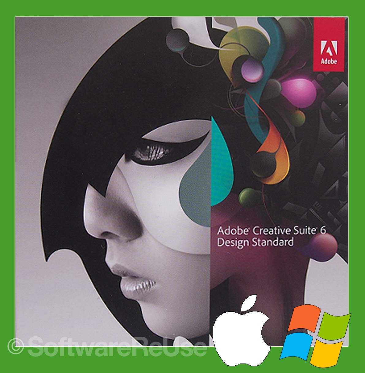 Adobe Creative Suite Design Standard CS6 Windows und Mac 2